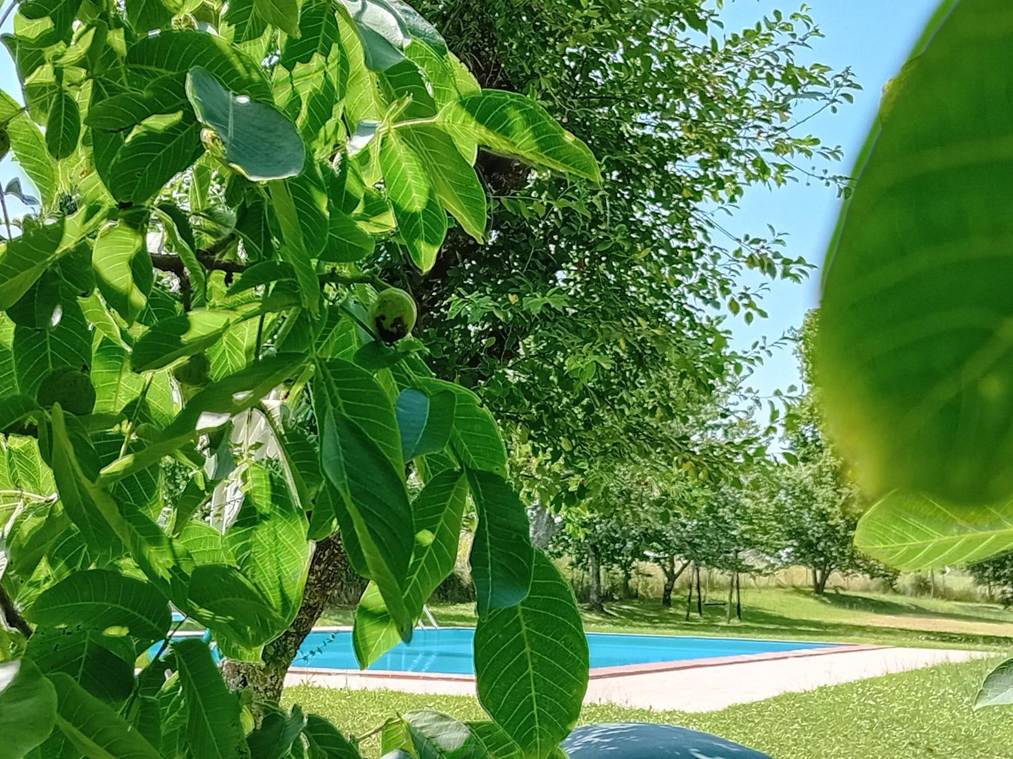 Agriturismo Il Cornalino Castel Viscardo Exterior foto