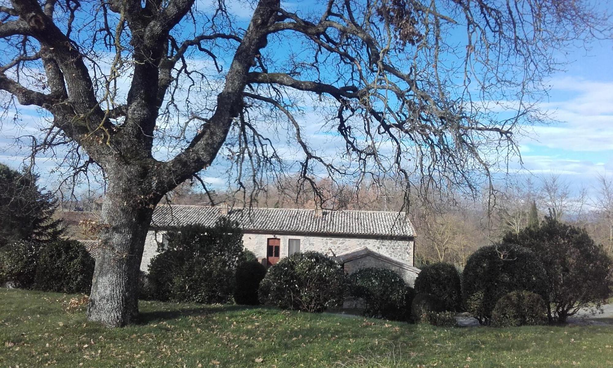Agriturismo Il Cornalino Castel Viscardo Exterior foto