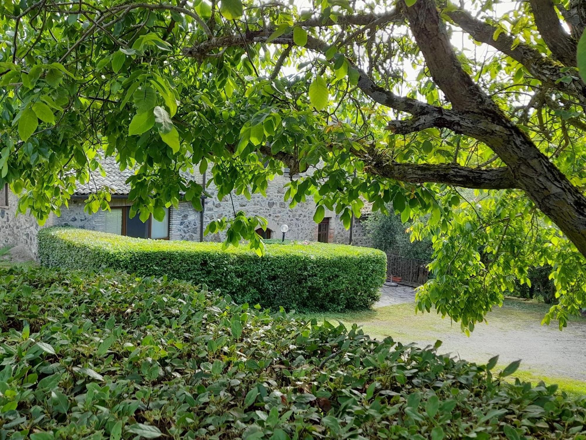 Agriturismo Il Cornalino Castel Viscardo Exterior foto