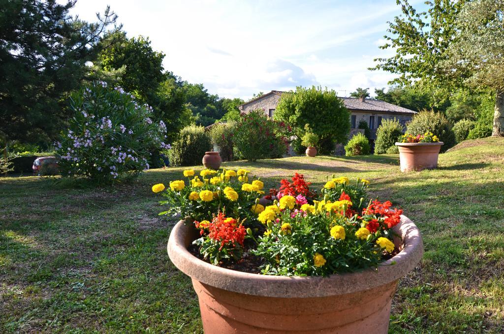Agriturismo Il Cornalino Castel Viscardo Exterior foto